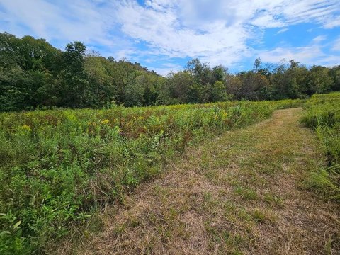 90 Acres Near Caney Fork