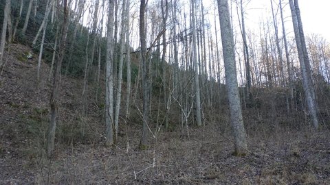 Land in Dillsboro, North Carolina