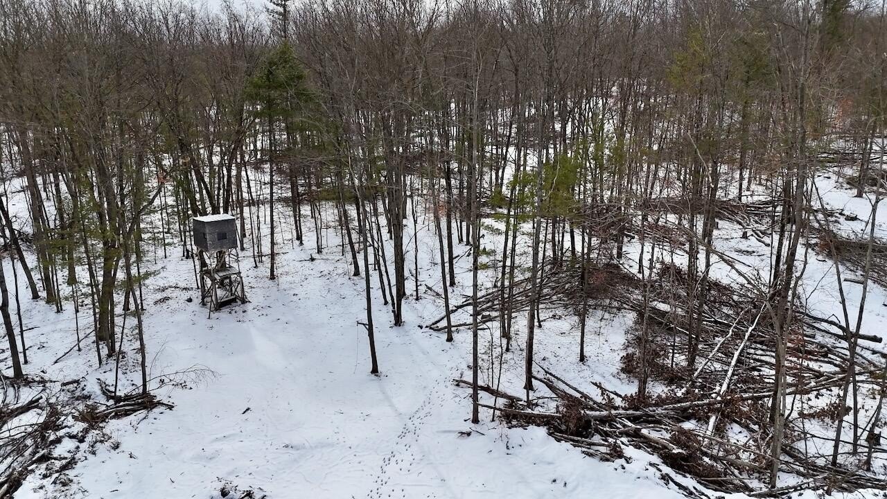 Clare County Hunting Land