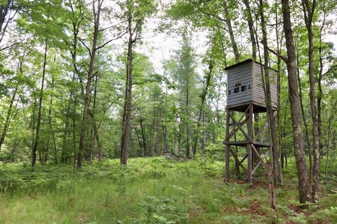 Clare County Hunting Land