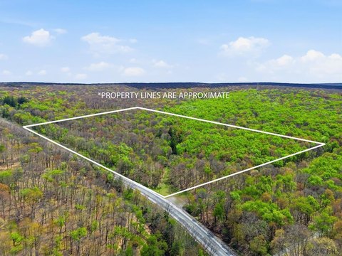Ligonier Valley 82-Acre Sanctuary