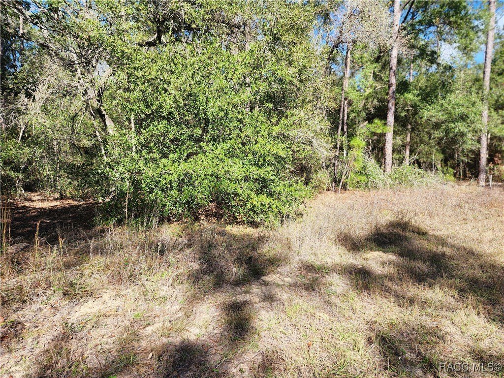 Citrus Springs Homesite For Sale
