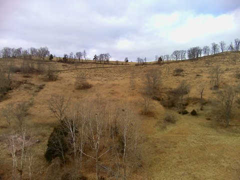 Unrestricted Land in Eidson, TN