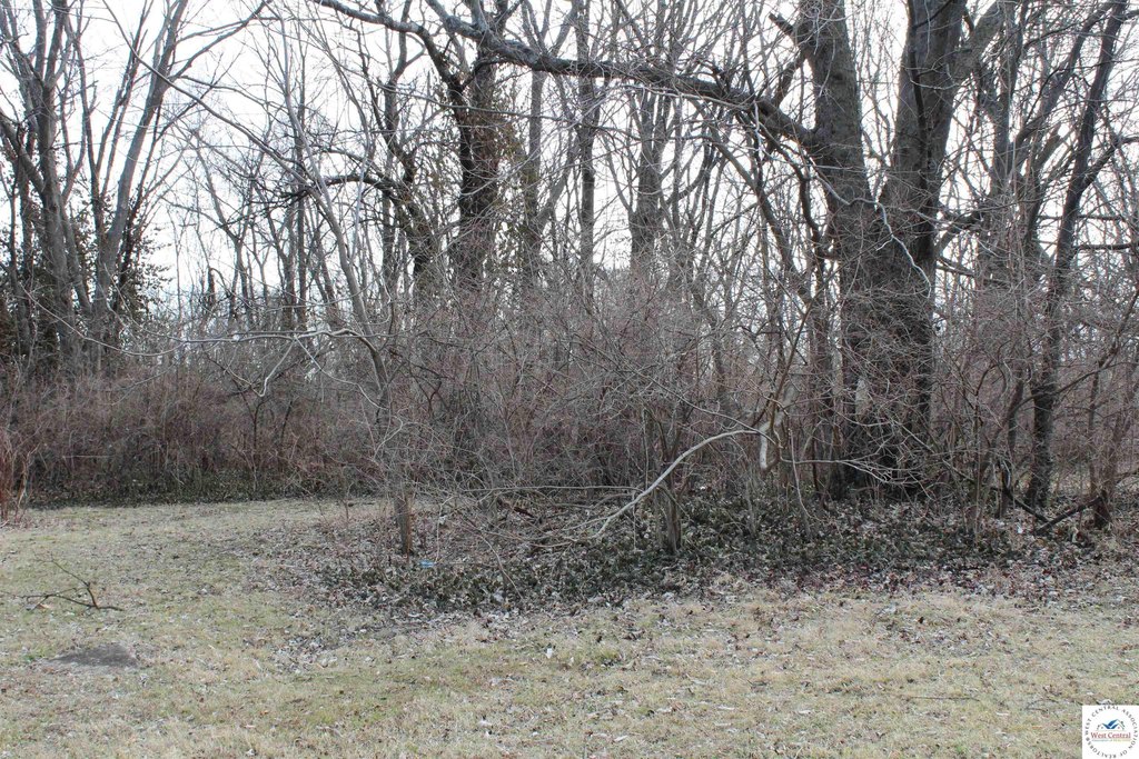 Picture 6