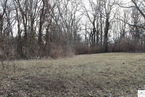 LAND, No Home, Sedalia, MO