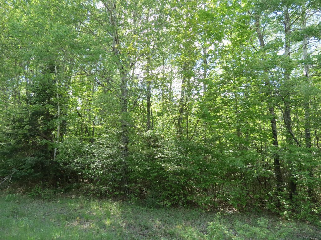 Picture 13