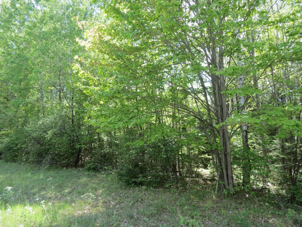 Picture 12