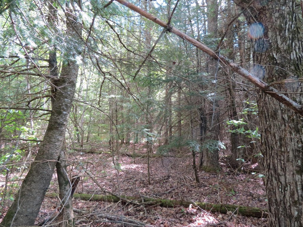 Picture 7