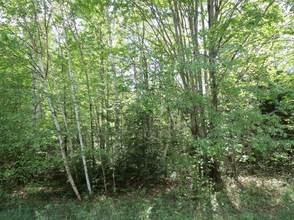 Picture 11