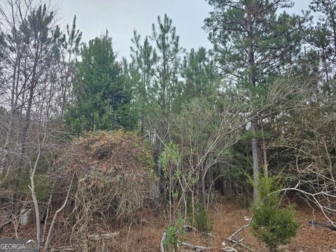 5 Acre Wooded Land Parcel