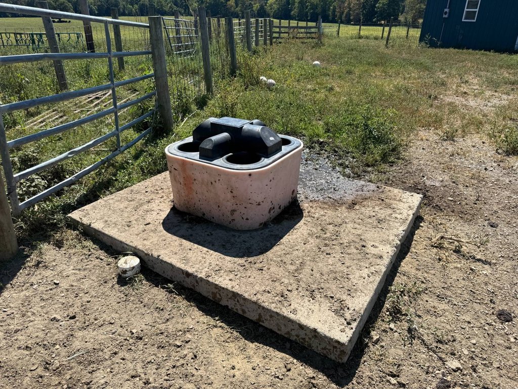 Picture 26