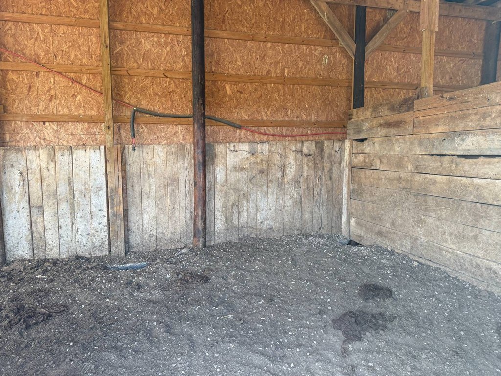 Picture 33