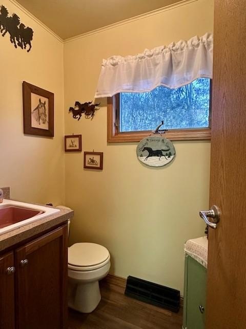 Picture 20