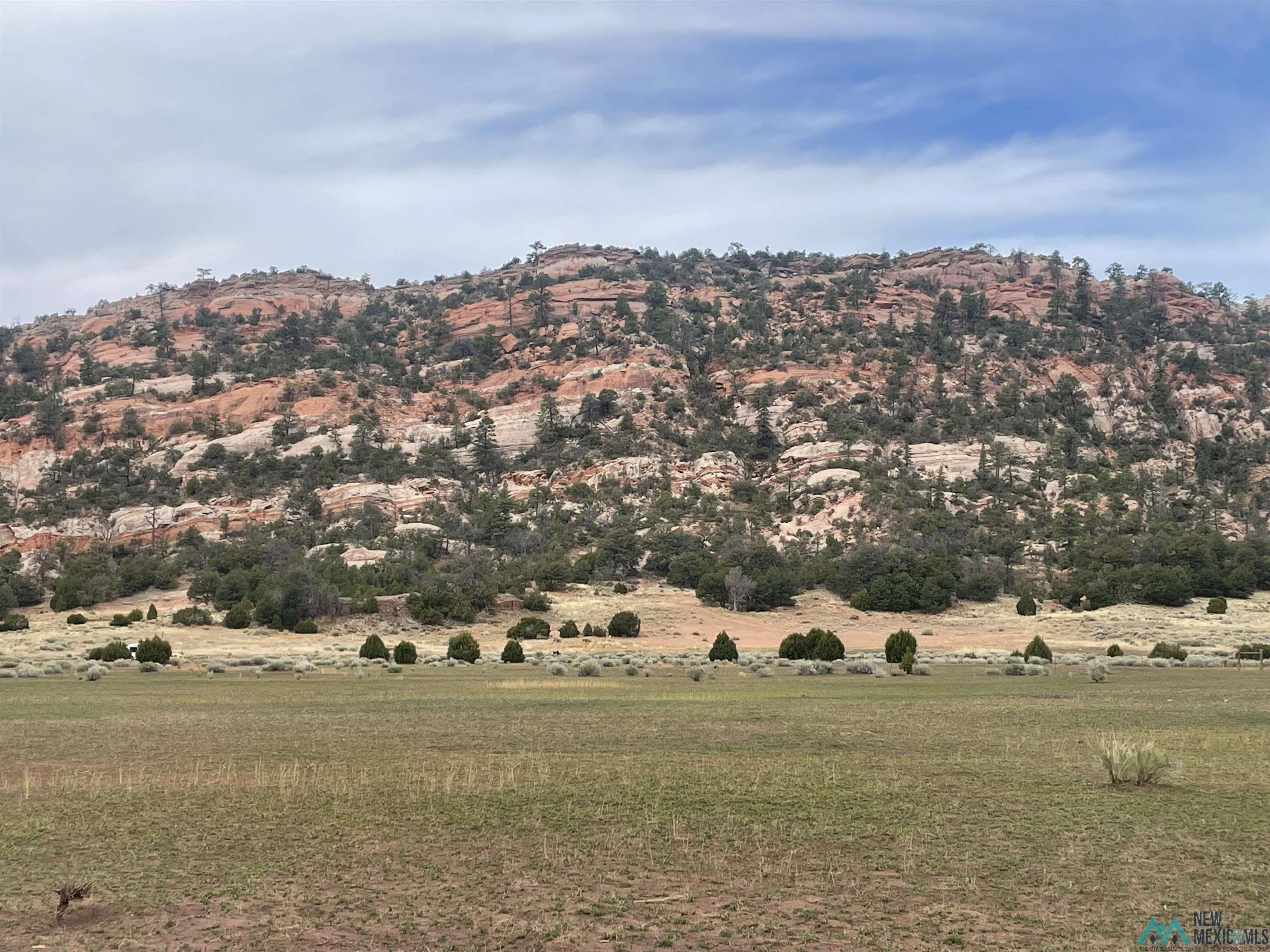 Expansive Land Near Cibola Forest