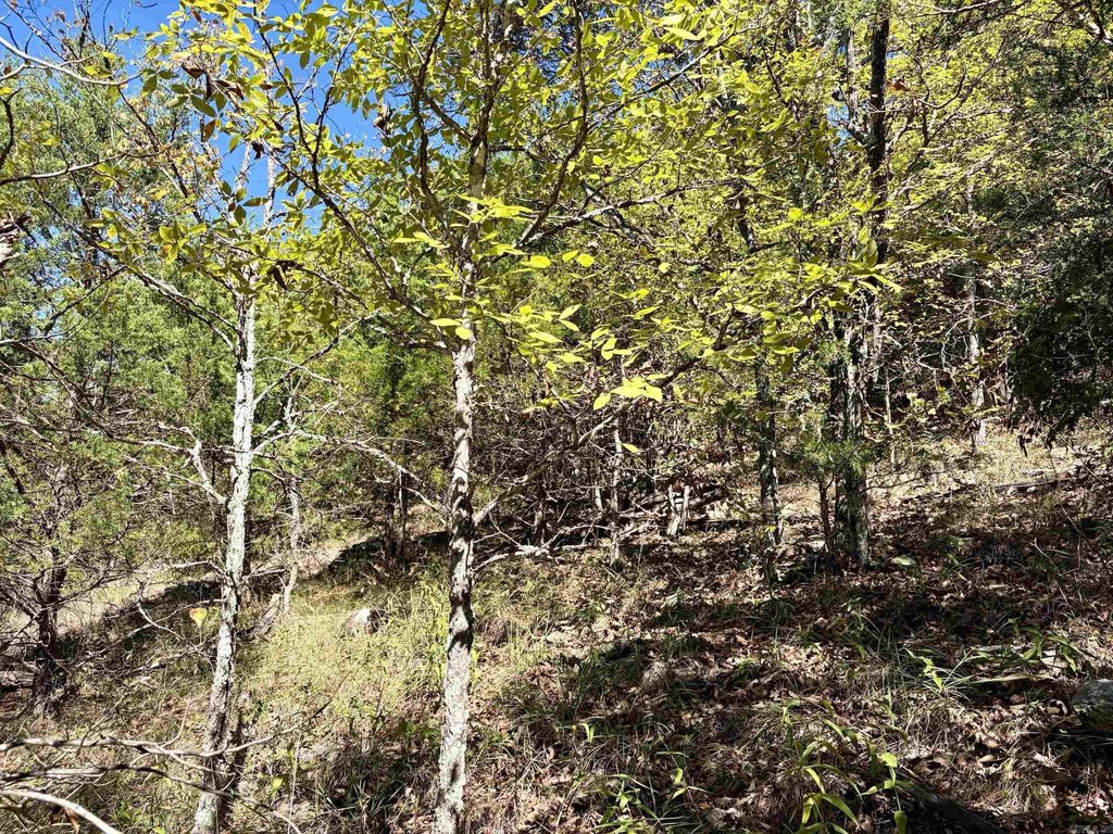 Picture 15