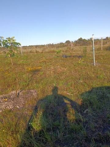 Picture 10