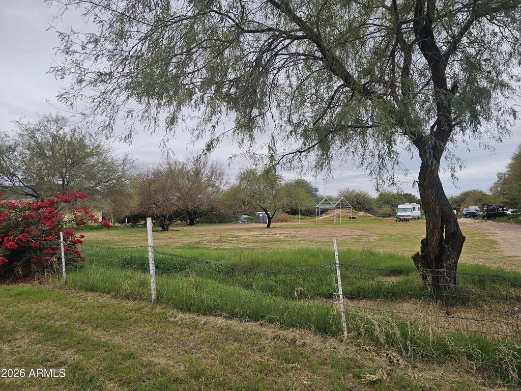 Picture 2