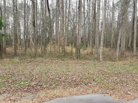 Residential Lot in Roanoke Rapids