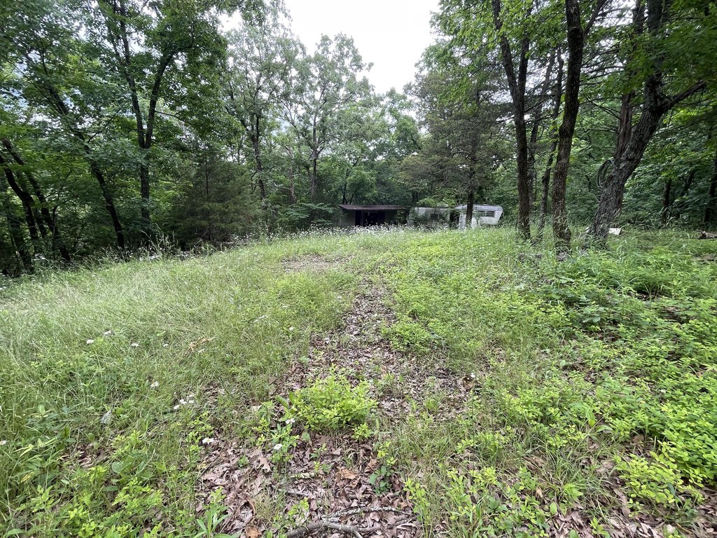 Picture 15