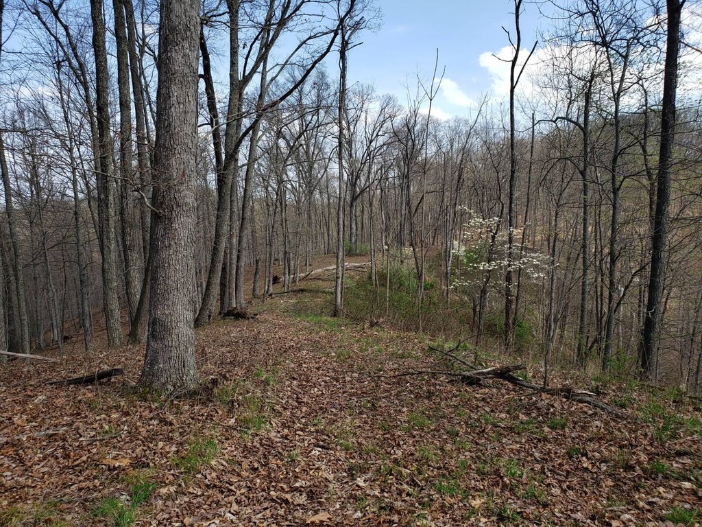Picture 16