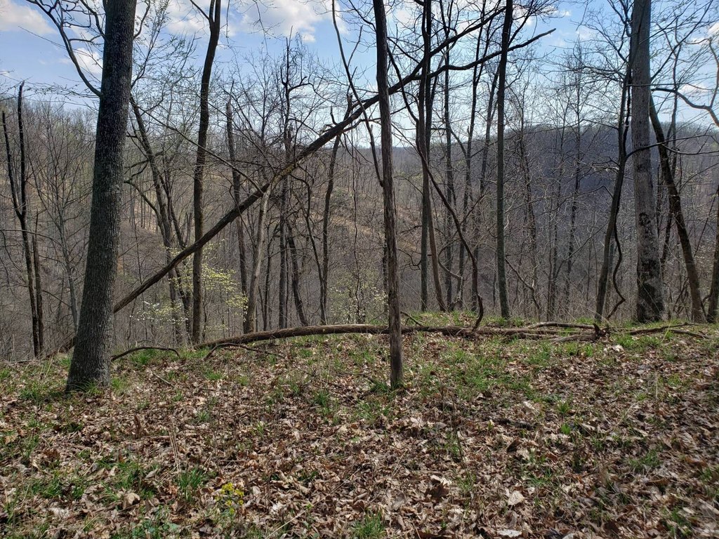Picture 14