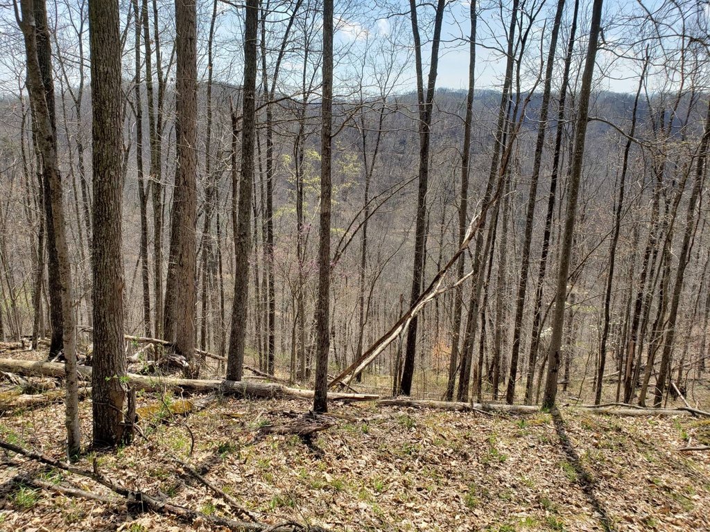 Picture 18