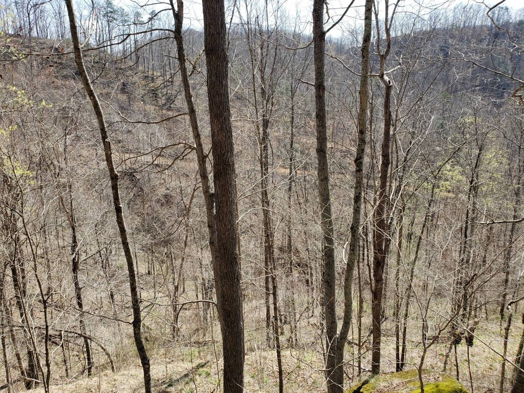 Picture 12
