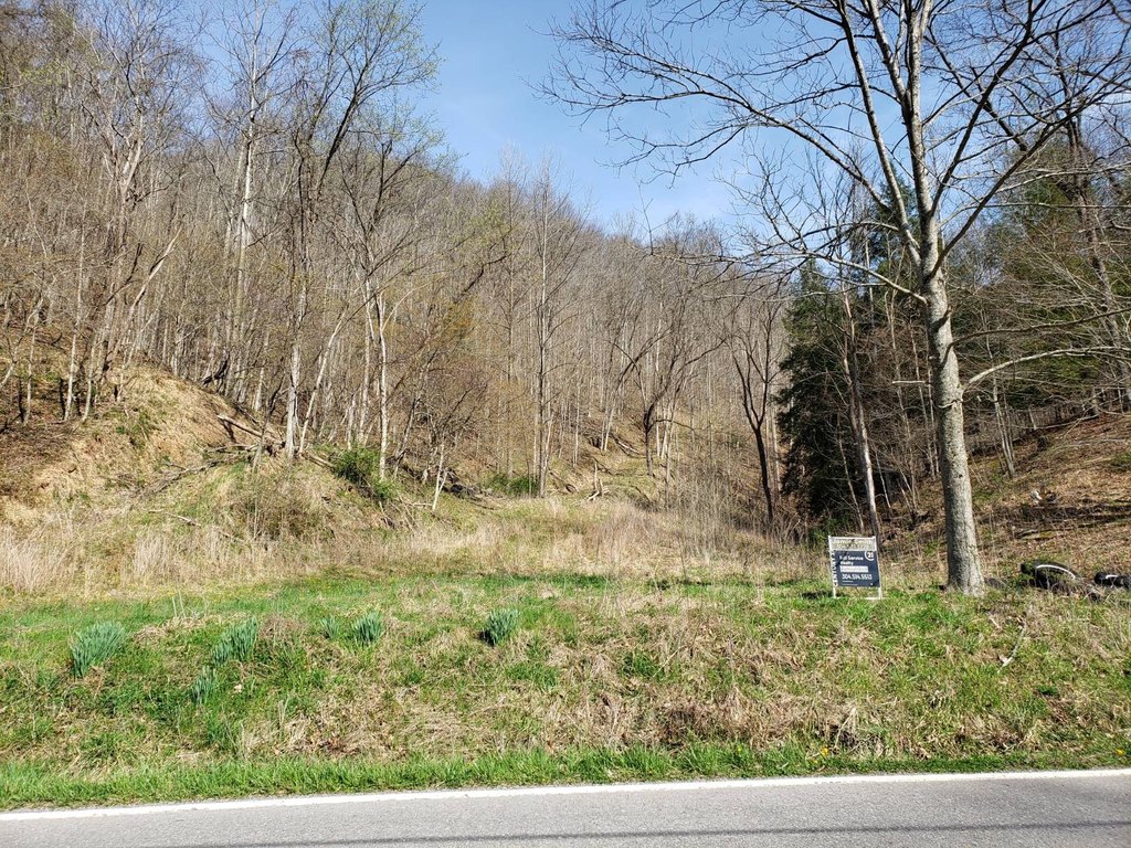 Picture 17