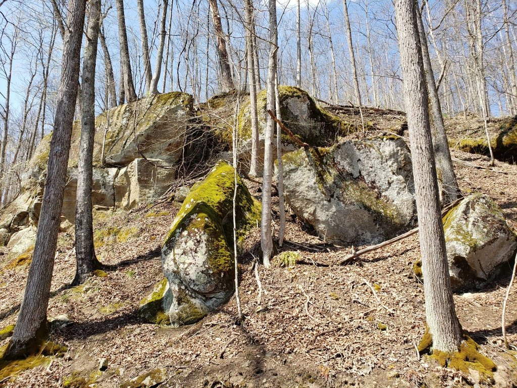 Picture 22