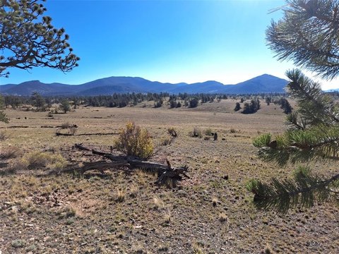 Land, HARTSEL, CO