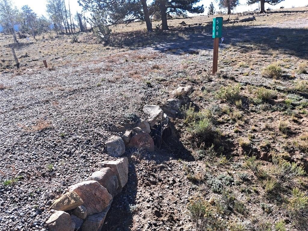 Picture 15