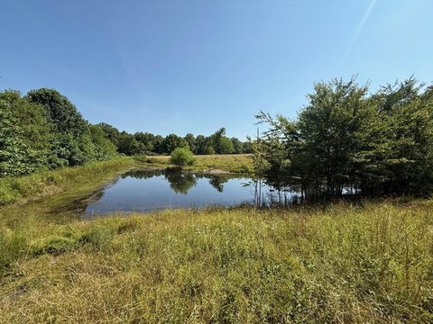 14-Acre Land in Sparta, TN
