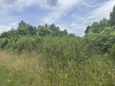 Residential Land in Private Community