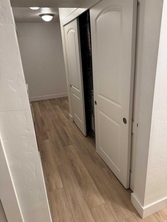Picture 19