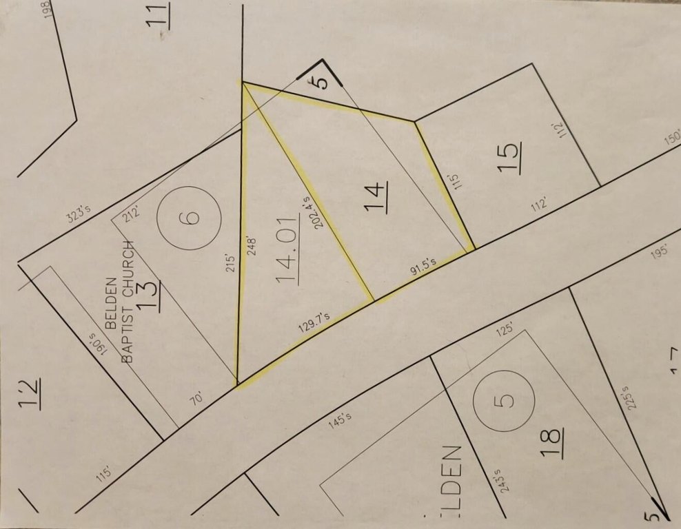 Picture 5