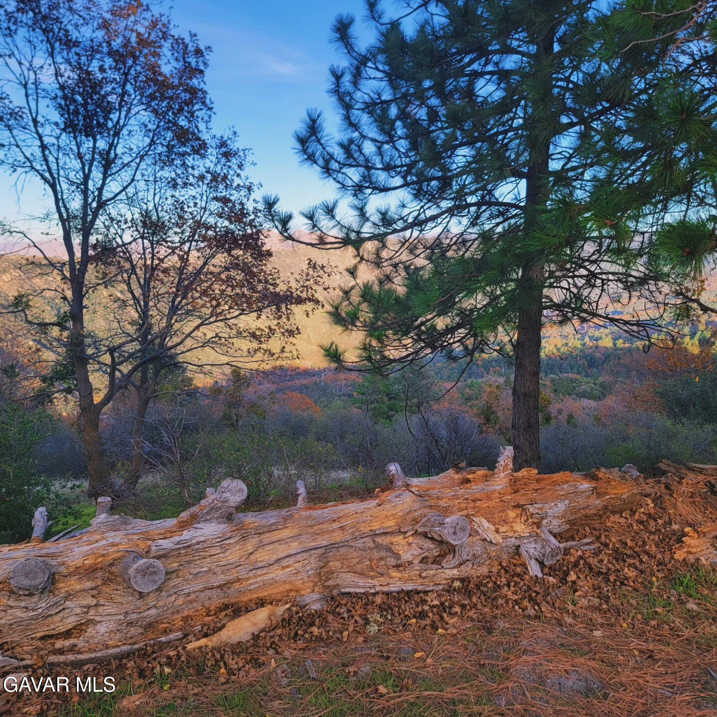Vacant Land in Crestline, CA