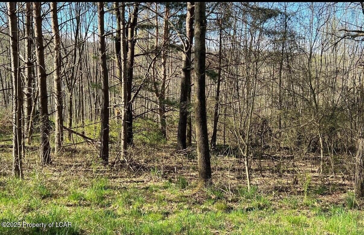 Residential Land in Eagle Rock