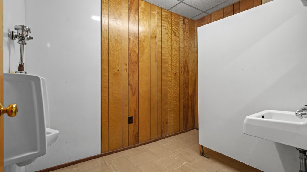Picture 45