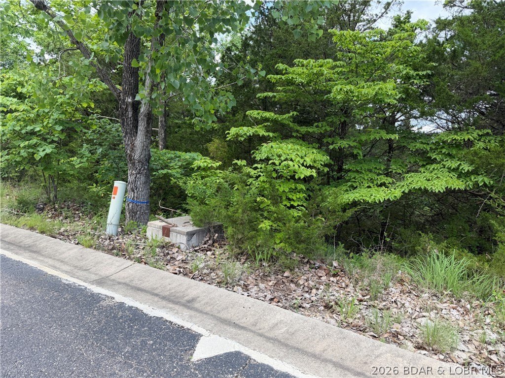 Picture 5