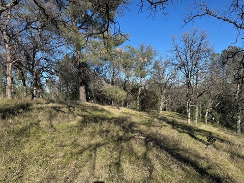 Sloping View Lot