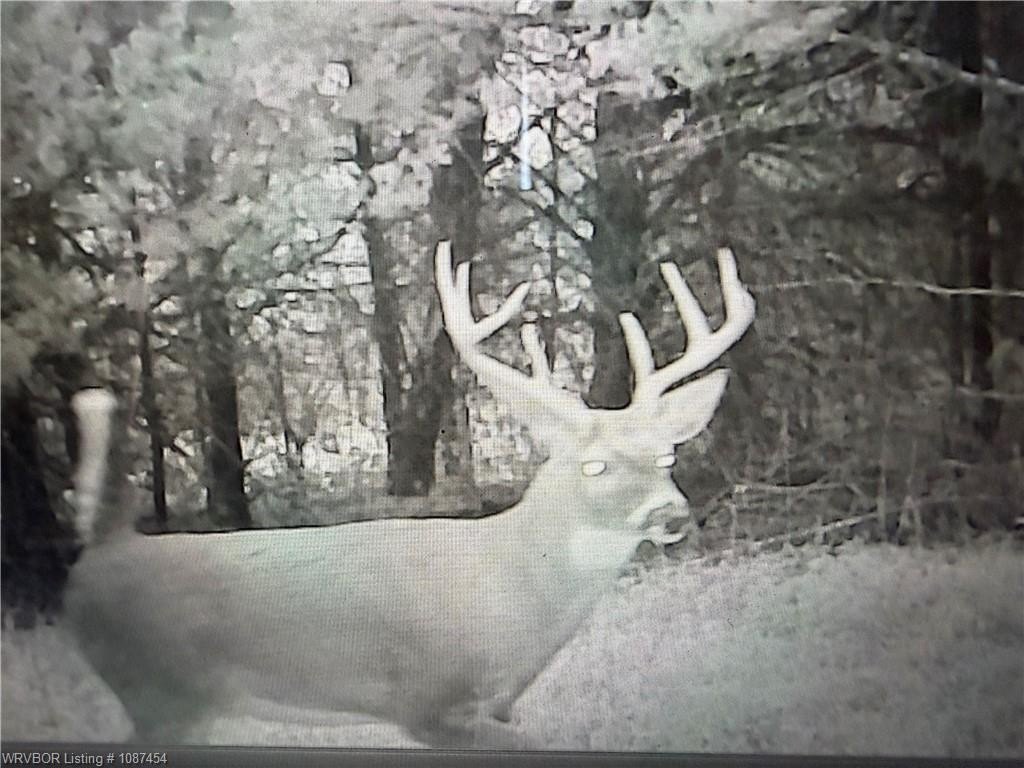Recreational Land in LeFlore County
