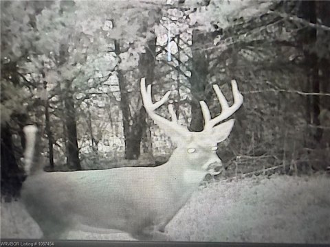 Recreational Land in LeFlore County