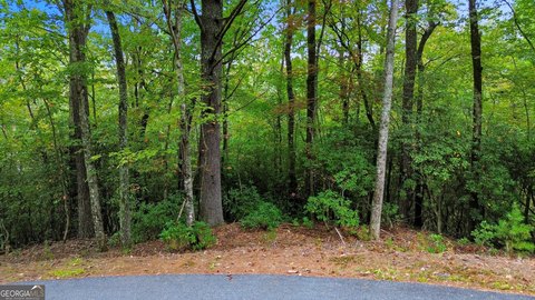 One Acre Wooded Lot