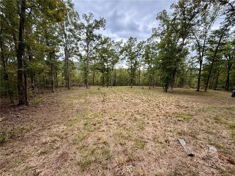 Land, Witter, AR