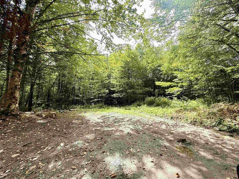 Recreational Land with Road Frontage