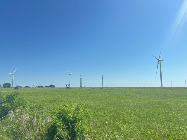 Picture 3