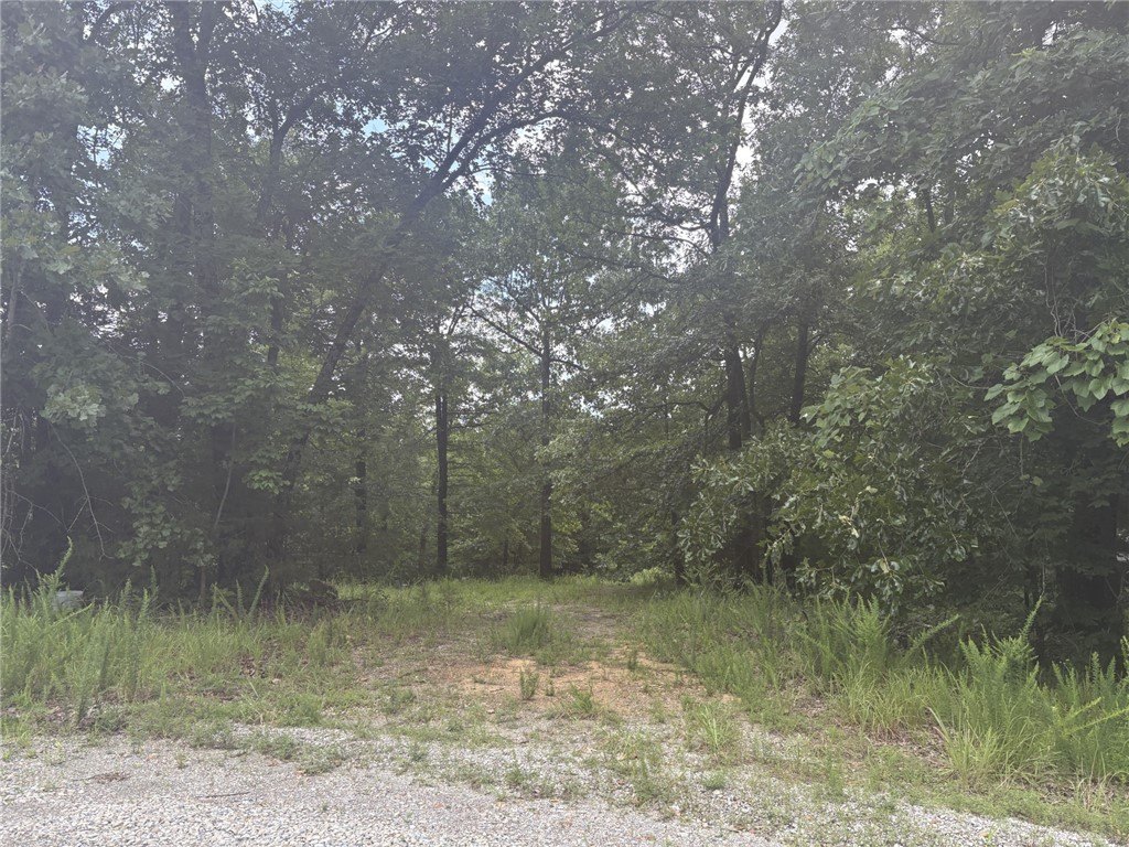 Picture 4