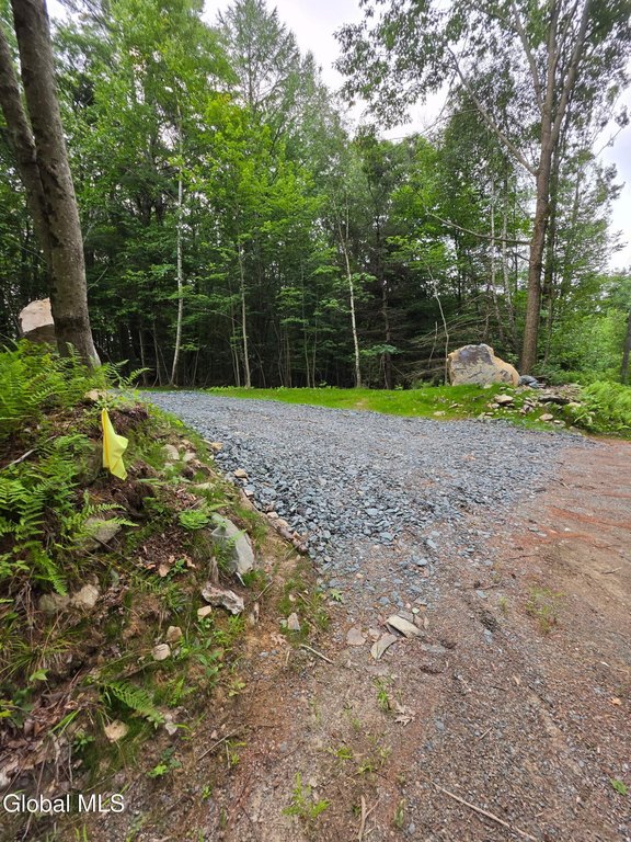 Picture 9
