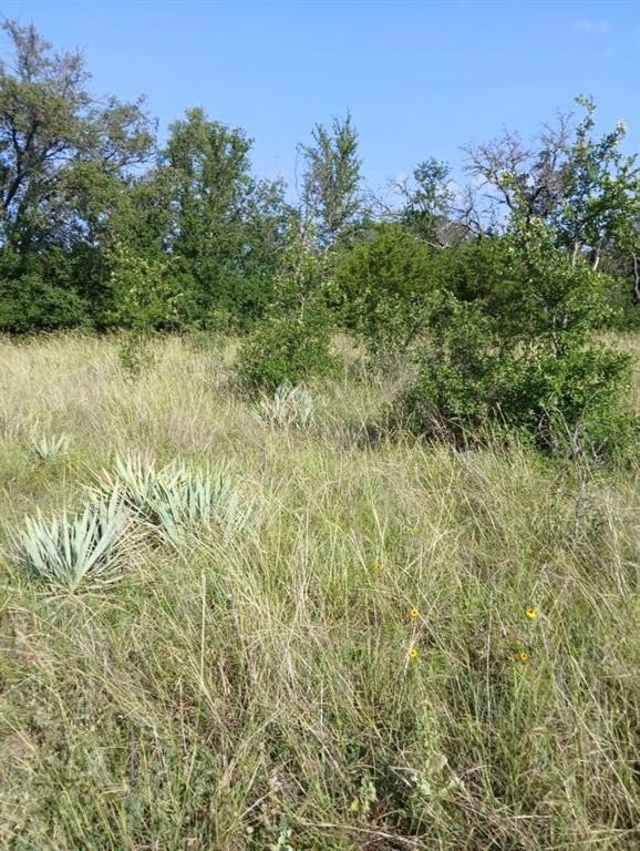 Picture 3