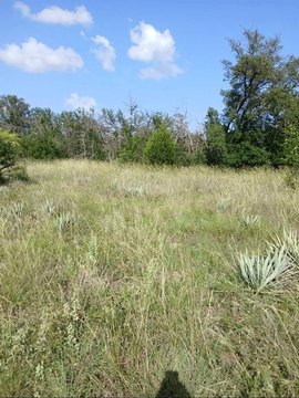 Half-Acre Homesite in Brownwood, TX